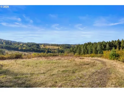 37251 SW Thimbleberry Drive Gaston OR 97119