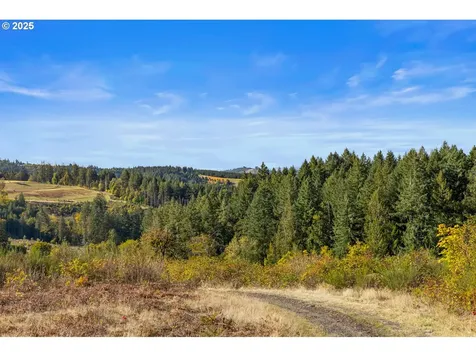 37251 SW Thimbleberry Drive Gaston OR 97119