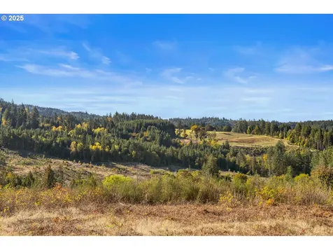 37251 SW Thimbleberry Drive Gaston OR 97119