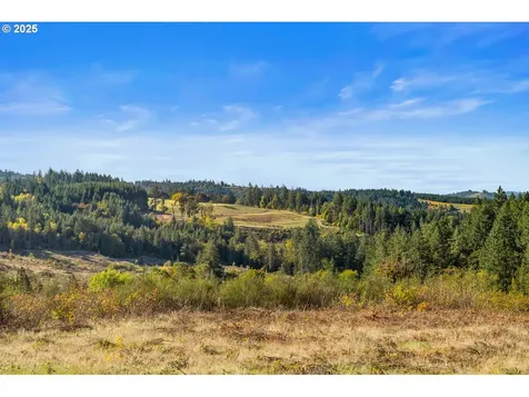 37251 SW Thimbleberry Drive Gaston OR 97119