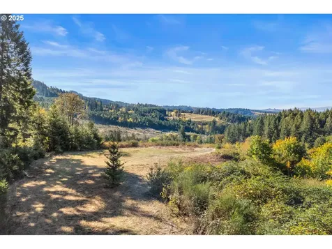 37251 SW Thimbleberry Drive Gaston OR 97119