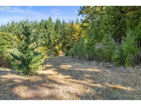 37251 SW Thimbleberry Drive Gaston OR 97119