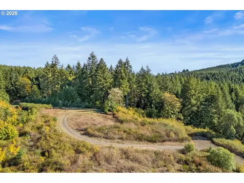 37251 SW Thimbleberry Drive Gaston OR 97119