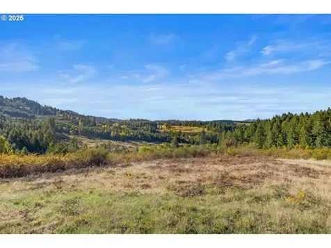 37251 SW Thimbleberry Drive Gaston OR 97119