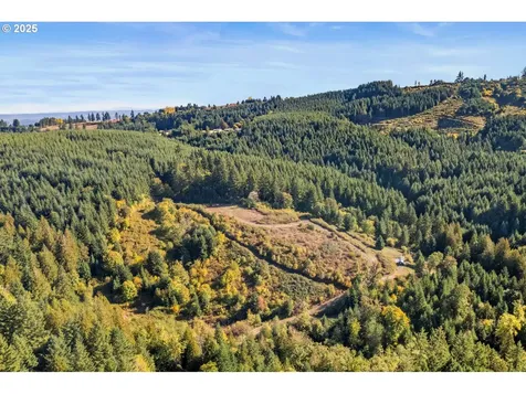 37251 SW Thimbleberry Drive Gaston OR 97119