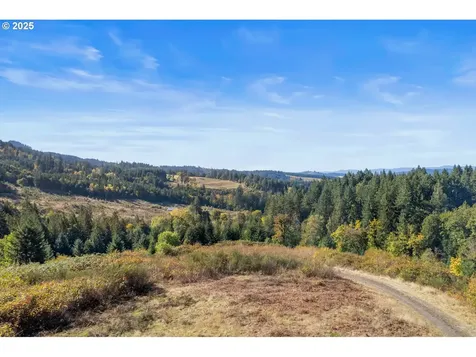 37251 SW Thimbleberry Drive Gaston OR 97119