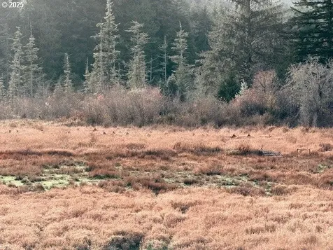 58894 Old Railroad Grade Road Coquille OR 97423