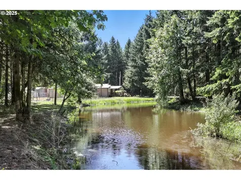 51761 NW Clapshaw Hill Road Forest Grove OR 97116
