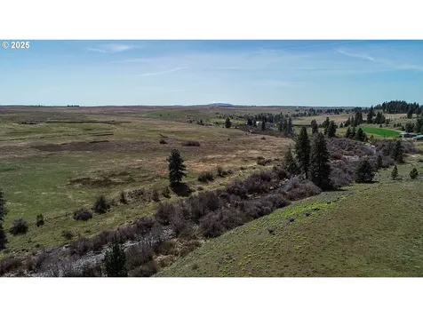 60 Chandler Road Goldendale WA 98620