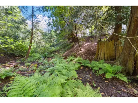 6121 SW Orchid Drive Portland OR 97219