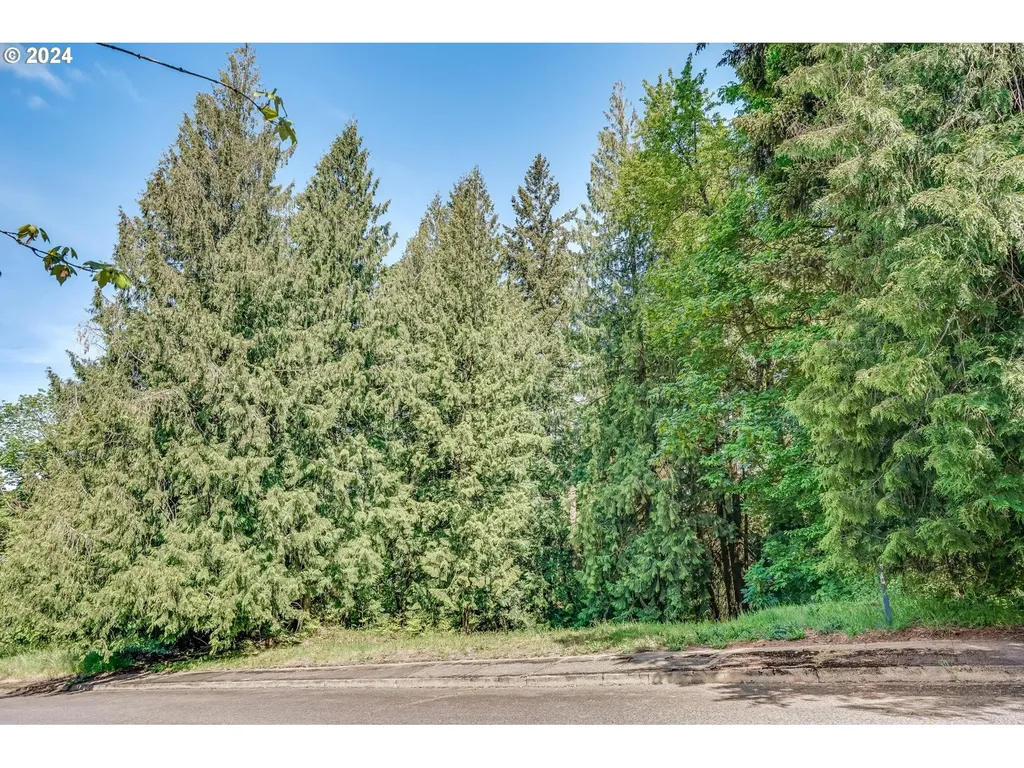 SE Duke Street Portland OR 97236
