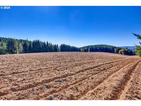 21076 NW Green Mountain Road Banks OR 97106