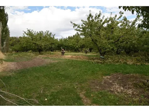 715 Garden Lane Dallesport WA 98617