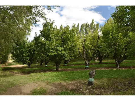 715 Garden Lane Dallesport WA 98617