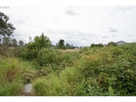 NE 20th Avenue Battle Ground WA 98604