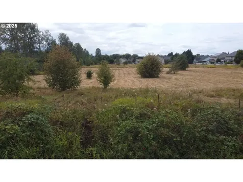 NE 20th Avenue Battle Ground WA 98604