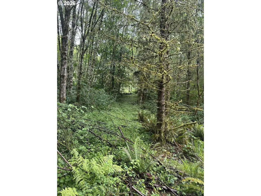 458 Ravenwood Road Kelso WA 98626