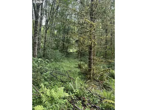 458 Ravenwood Road Kelso WA 98626