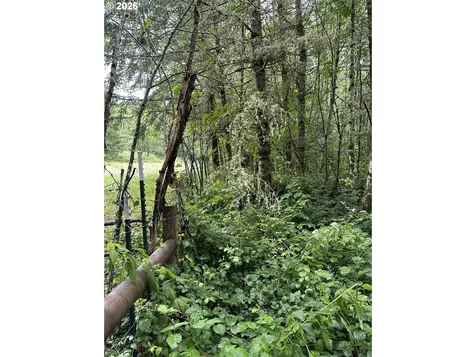 458 Ravenwood Road Kelso WA 98626