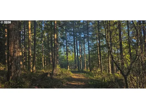 55240 Mcdonald Road Vernonia OR 97064