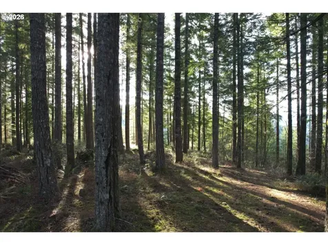 55240 Mcdonald Road Vernonia OR 97064