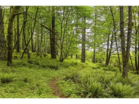 32575 NE Poison Oak Lane Newberg OR 97132