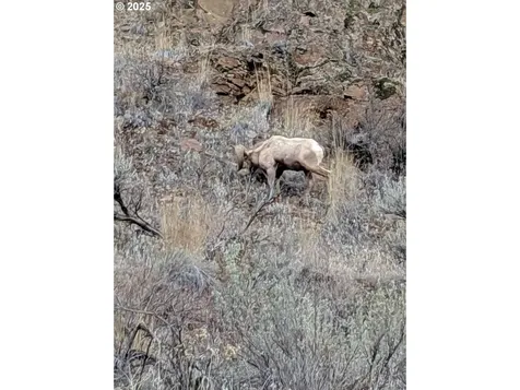 45469 Wall Creek Road Monument OR 97864