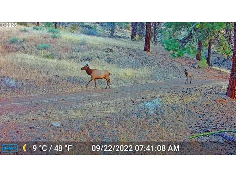 45469 Wall Creek Road Monument OR 97864