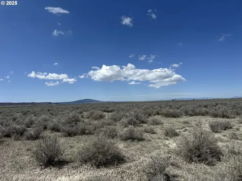 Oil Dri Road Christmas Valley OR 97641