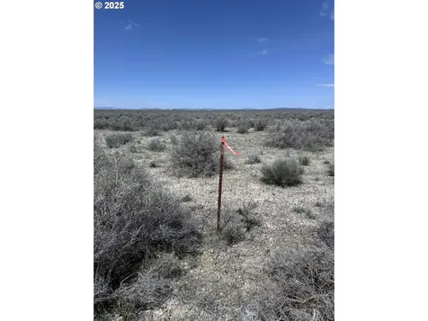 Oil Dri Road Christmas Valley OR 97641