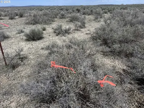 Oil Dri Road Christmas Valley OR 97641