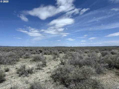 Oil Dri Road Christmas Valley OR 97641