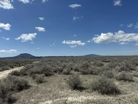 Oil Dri Road Christmas Valley OR 97641