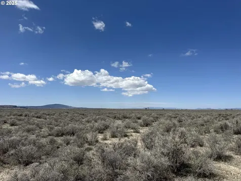 Oil Dri Road Christmas Valley OR 97641