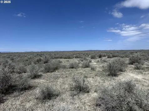 Oil Dri Road Christmas Valley OR 97641