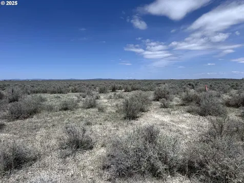Oil Dri Road Christmas Valley OR 97641