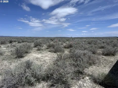 Oil Dri Road Christmas Valley OR 97641