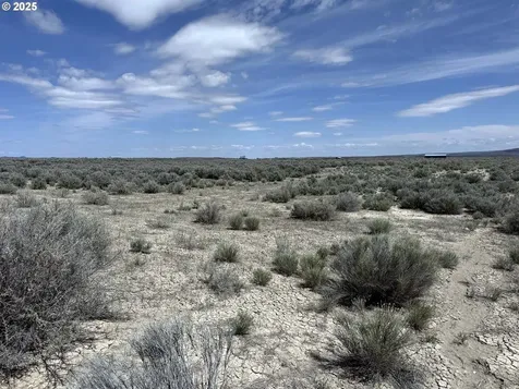 Oil Dri Road Christmas Valley OR 97641