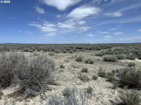 Oil Dri Road Christmas Valley OR 97641