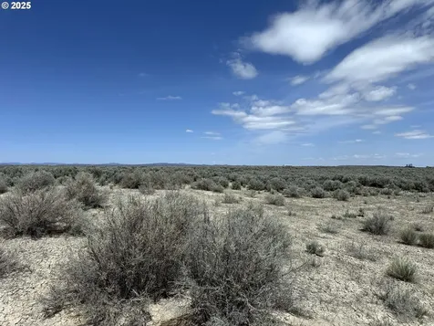 Oil Dri Road Christmas Valley OR 97641