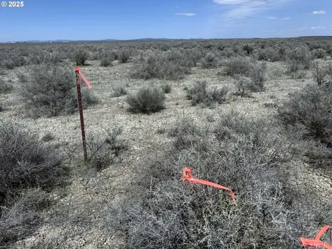 Oil Dri Road Christmas Valley OR 97641