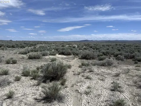 Oil Dri Road Christmas Valley OR 97641