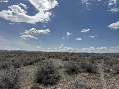 Oil Dri Road Christmas Valley OR 97641