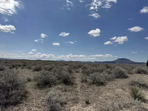 Oil Dri Road Christmas Valley OR 97641