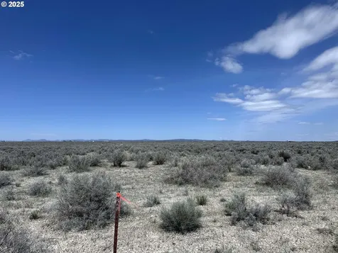 Oil Dri Road Christmas Valley OR 97641