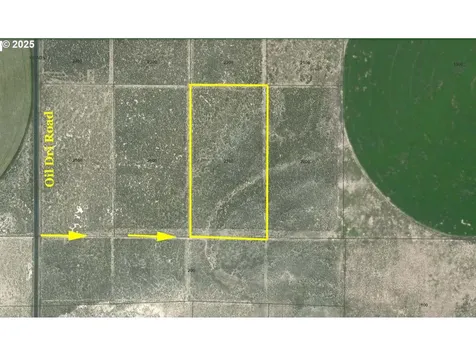 Oil Dri Road Christmas Valley OR 97641