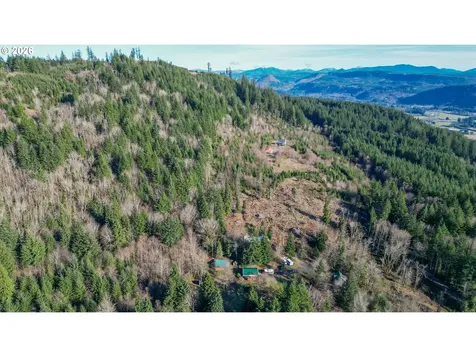 43911 NE Columbia Tie Road Amboy WA 98601