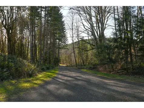 43911 NE Columbia Tie Road Amboy WA 98601