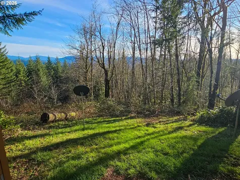 43911 NE Columbia Tie Road Amboy WA 98601