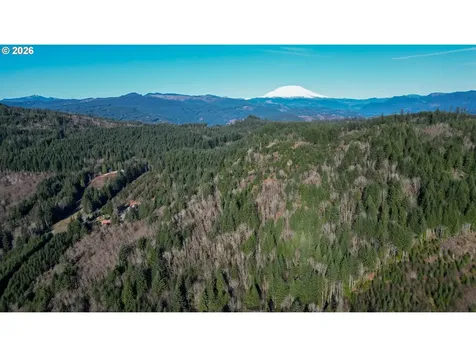 43911 NE Columbia Tie Road Amboy WA 98601